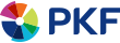 PKF Capital Markets logo